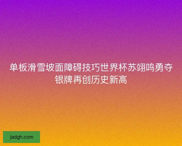 单板滑雪坡面障碍技巧世界杯苏翊鸣勇夺银牌再创历史新高 单板滑雪坡面障碍技巧世界杯苏翊鸣勇夺银牌再创历史新高